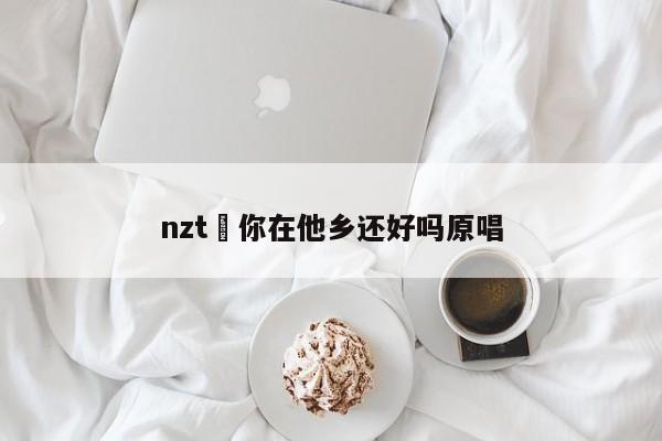 nzt›你在他乡还好吗原唱
