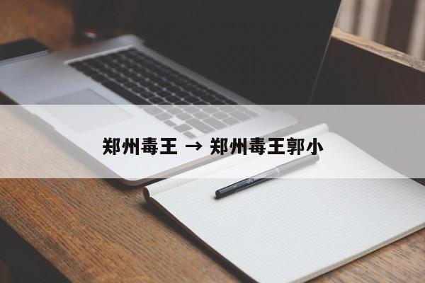 郑州毒王 → 郑州毒王郭小